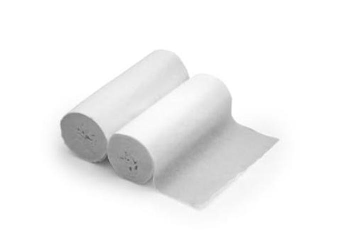 Portable Toilet Tissue – Biodegradable Camping, Travel 2 Count (Pack of 1)