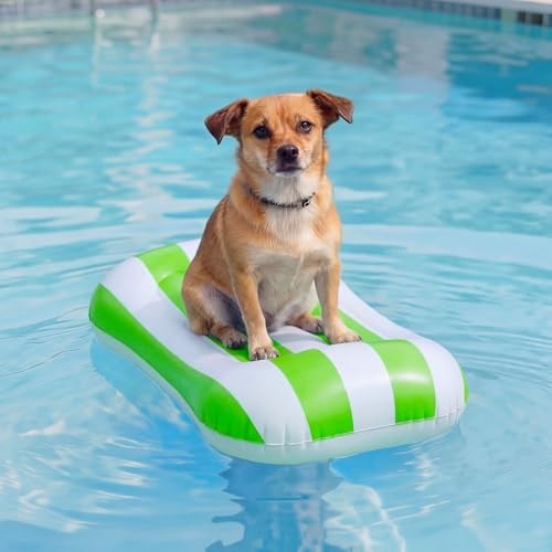 Seenelling 2 Pcs Inflatable Poolside Chair Blow up Beach Seat Green and Blue