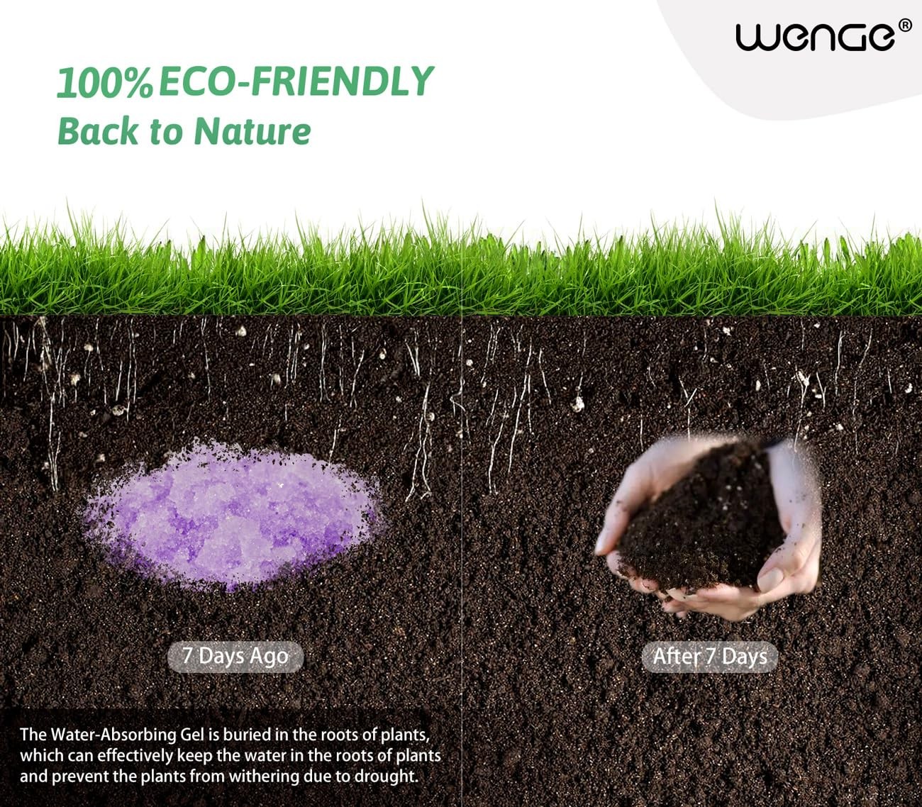 Wenge Urine Super Absorbent, 32.1 Ounce (Pack of 1), Purple Lavender Scent