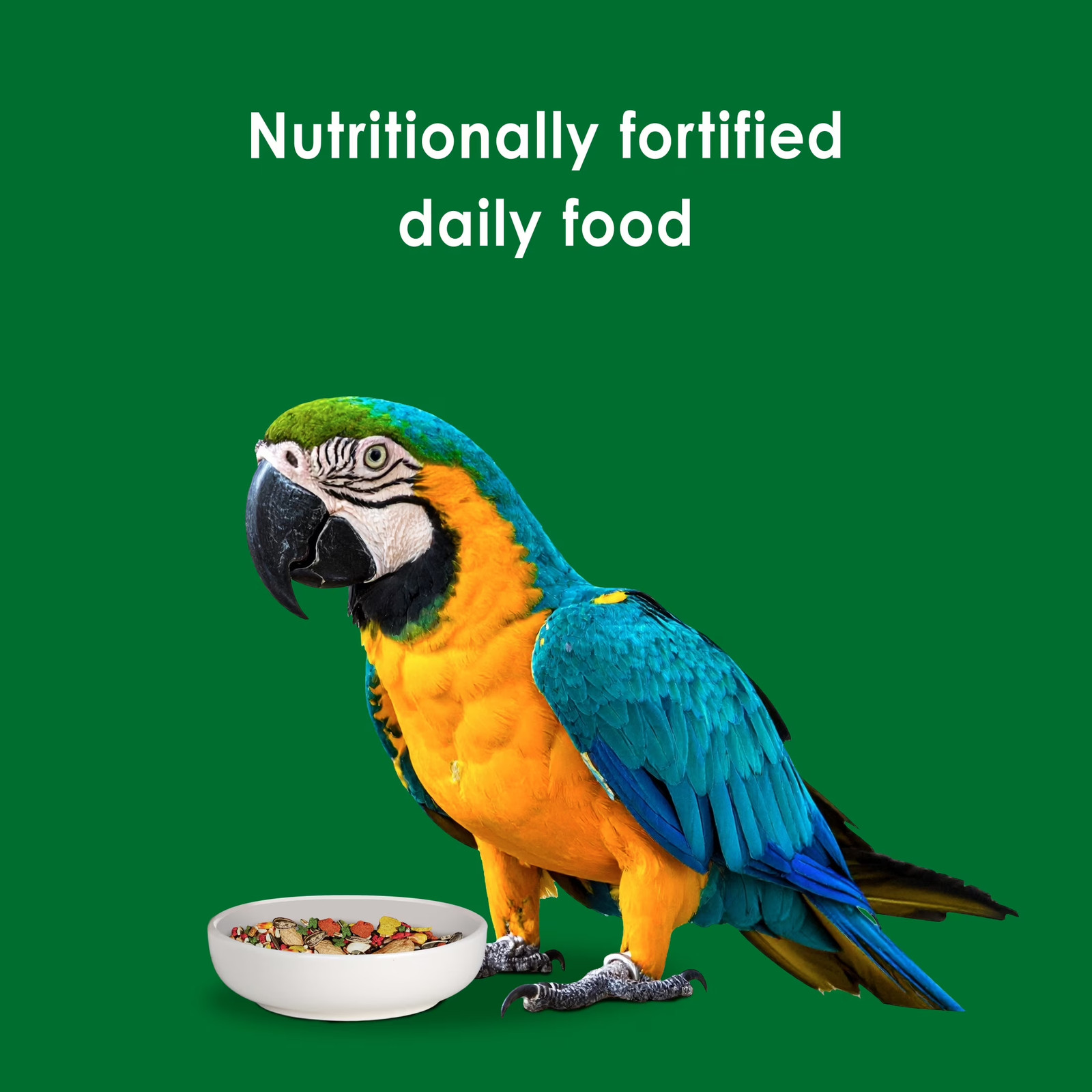 Forti-Diet Alimento Para Loros 5 Libras