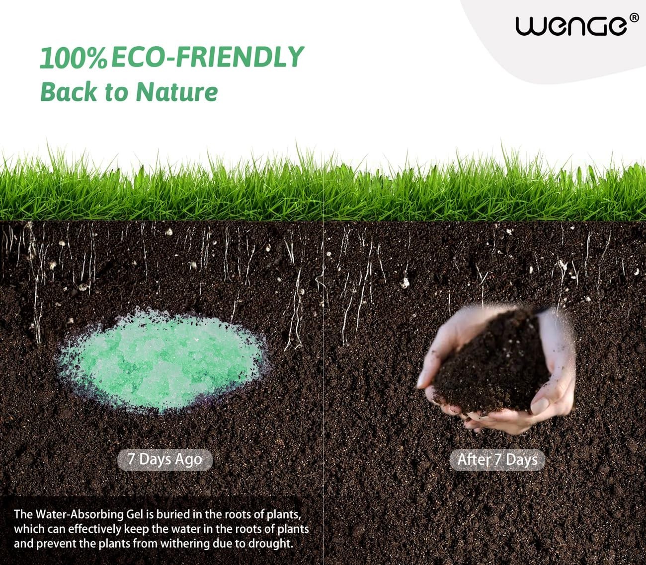 Wenge Urine Super Absorbent Solidifier, 180 Use, Green Jasmine Scent