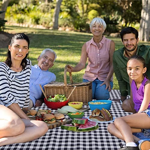RUIBOLU Large Picnic Blanket Beach Blankets, 80”x60” Picnic Black 80×60 Inch